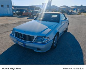 Mercedes-benz SL 300 SL-24 cat