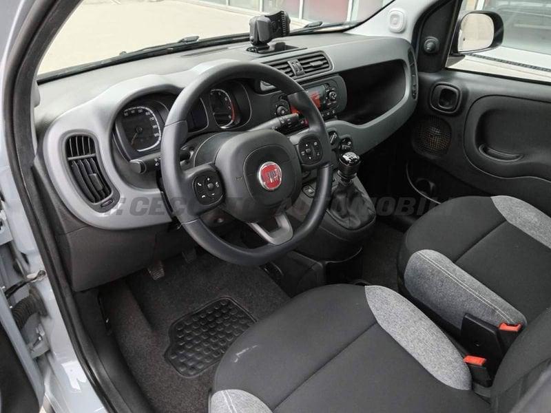 FIAT Panda Panda 1.0 firefly hybrid City Life s&s 70cv 5p.ti