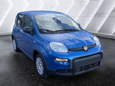 FIAT Panda 1.0 FireFly CON ROTTAMAZIONE FINO A EURO 4