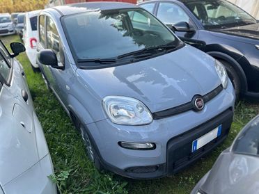 FIAT Panda III 2021 - Panda 1.0 firefly hybrid City Life s&s 70cv