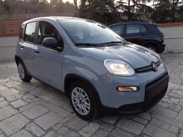 FIAT Panda 1000 HYBRID PANDA 70CV STEREO BLUET ITALIA