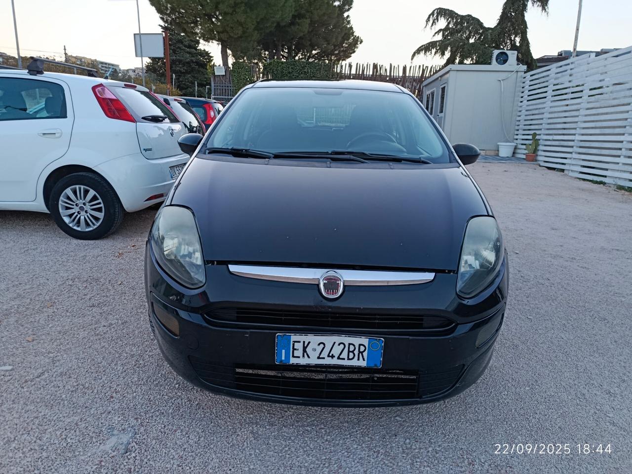 Fiat Punto Evo 1.3 Mjt 95 CV DPF 5 porte S&S Dynamic