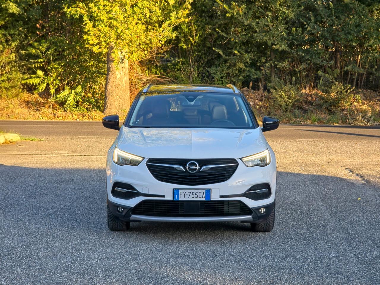 Opel Grandland X 1.2 Turbo 12V 130 CV Start&Stop Ultimate E6 Manuale NEO 2019