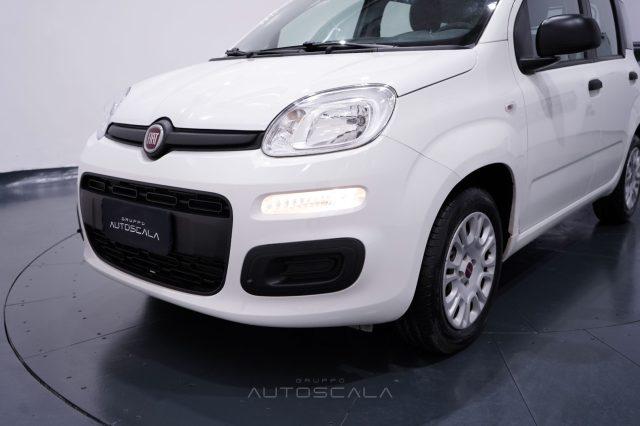 FIAT New Panda 1.2 Easy 4 posti N1 Autocarro della casa