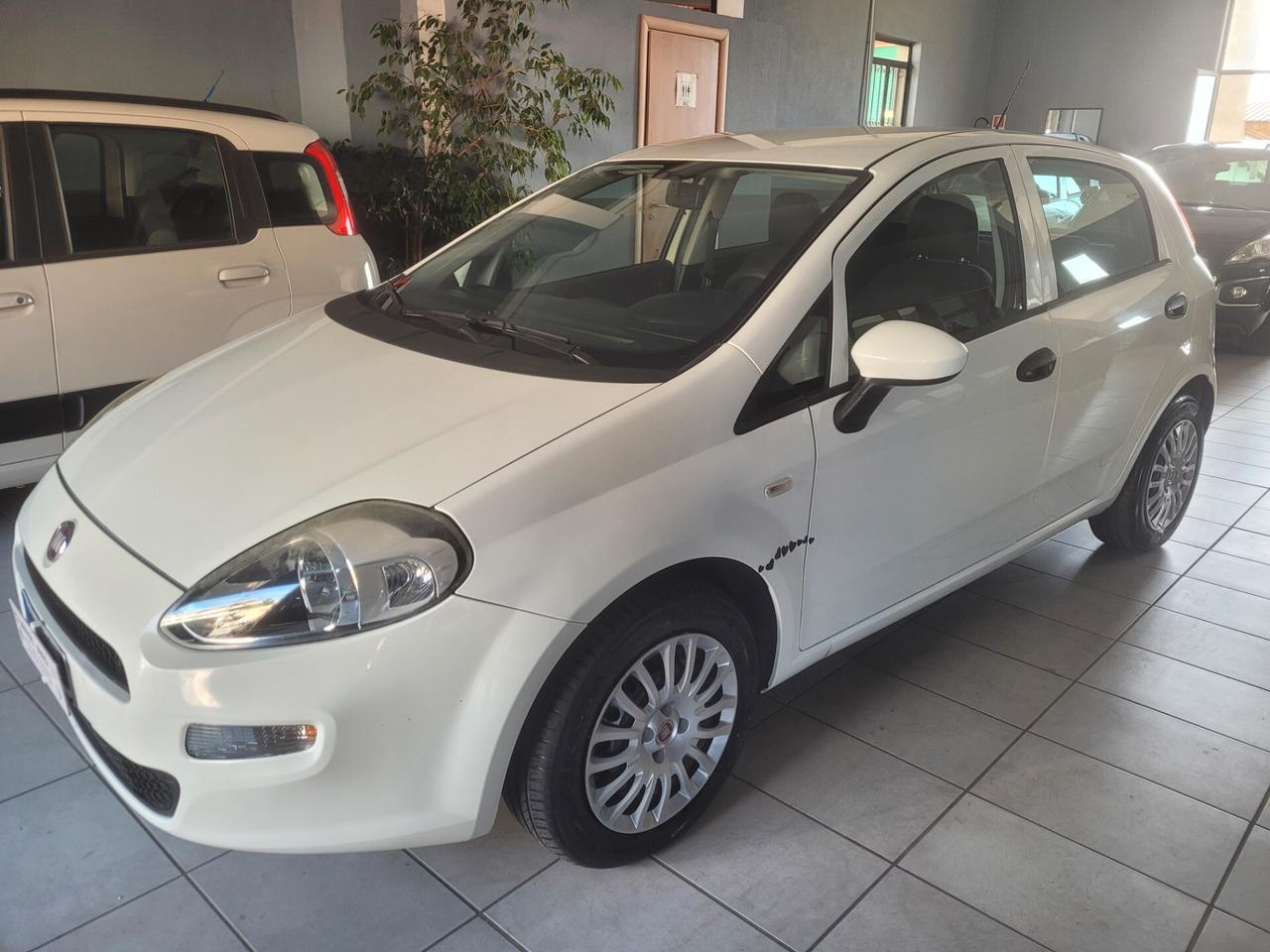 Fiat Punto 1.3 MJT II S&S 95 CV 5 porte Street