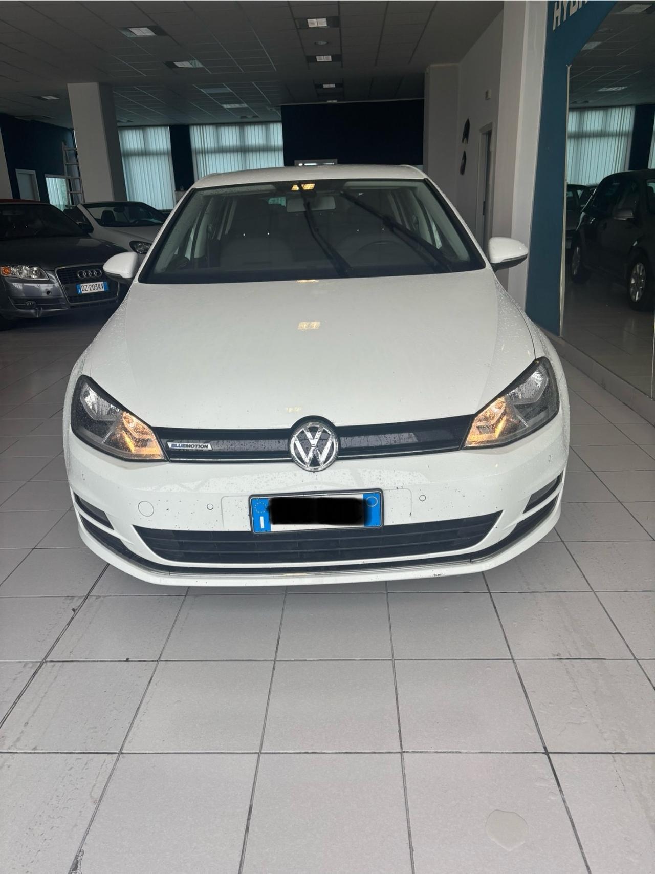 Volkswagen Golf 1.4 TGI 5p. Executive BlueMotion