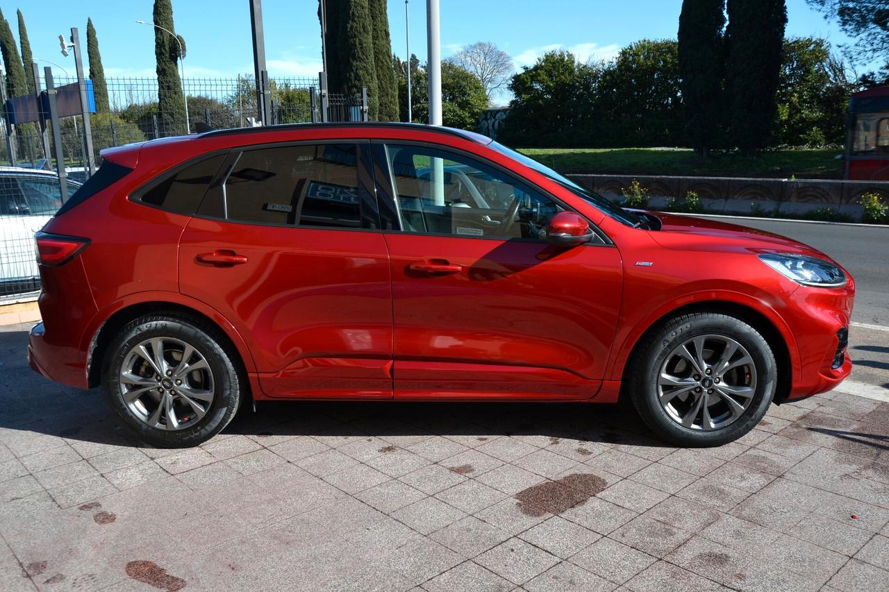 Ford Kuga 1.5 EcoBlue 120 CV 2WD ST-Line X