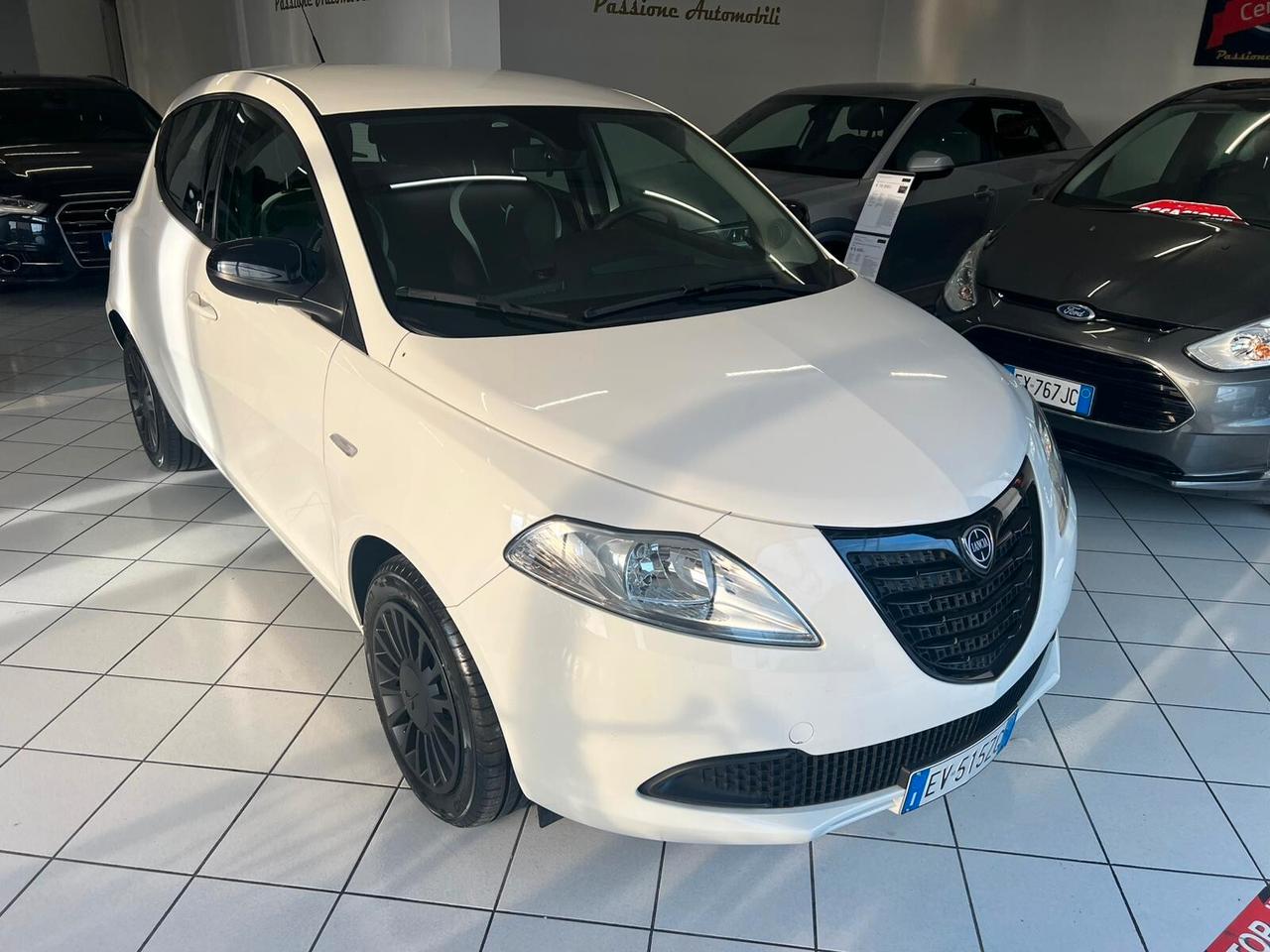 Lancia Ypsilon 1.3 MJT 16V 95 CV 5 porte S&S Platinum