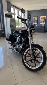 Harley-davidson XL 883