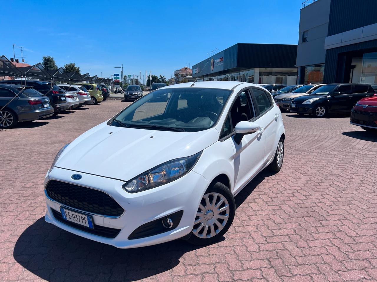 Ford Fiesta 1.5 TDCi 75CV 5 porte Black & White Edition