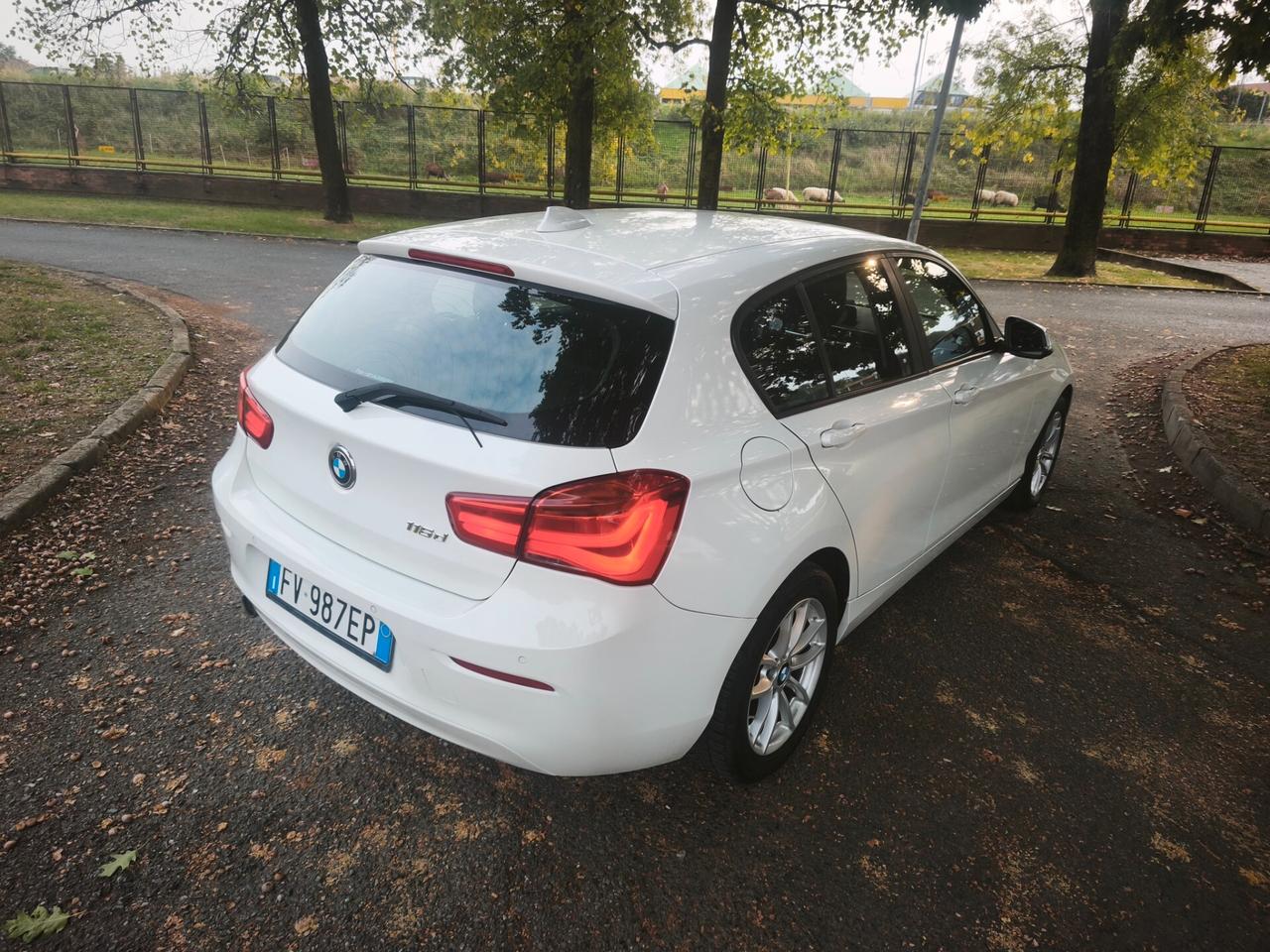 Bmw 116 116d 5p. Sport