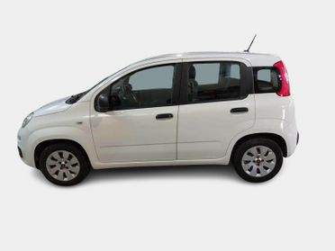 FIAT PANDA 1.2 69cv S/S E6d-Temp Easy 5 PORTE