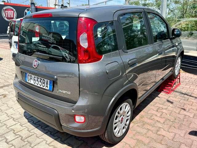 Fiat Panda Panda 1.0 firefly hybrid PRONTA CONSEGNA DISPONIBILI VARI COLORI