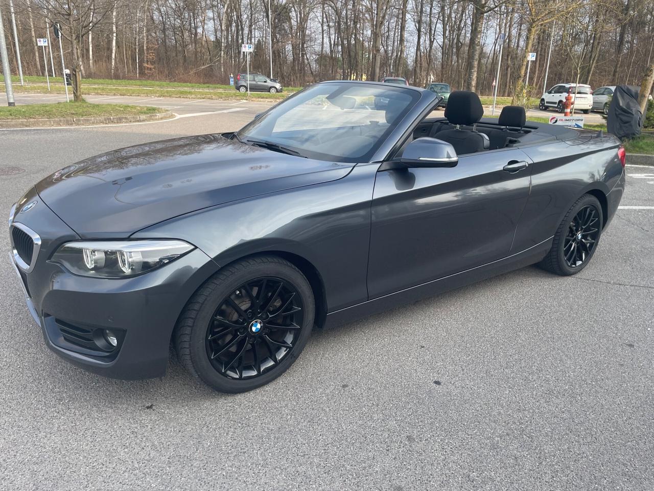 Bmw 220 220i Cabrio*Automatik*Navi*Tutti Taglindi BMW*