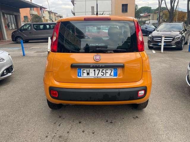 Fiat Panda Panda III 2016 1.2 Easy s