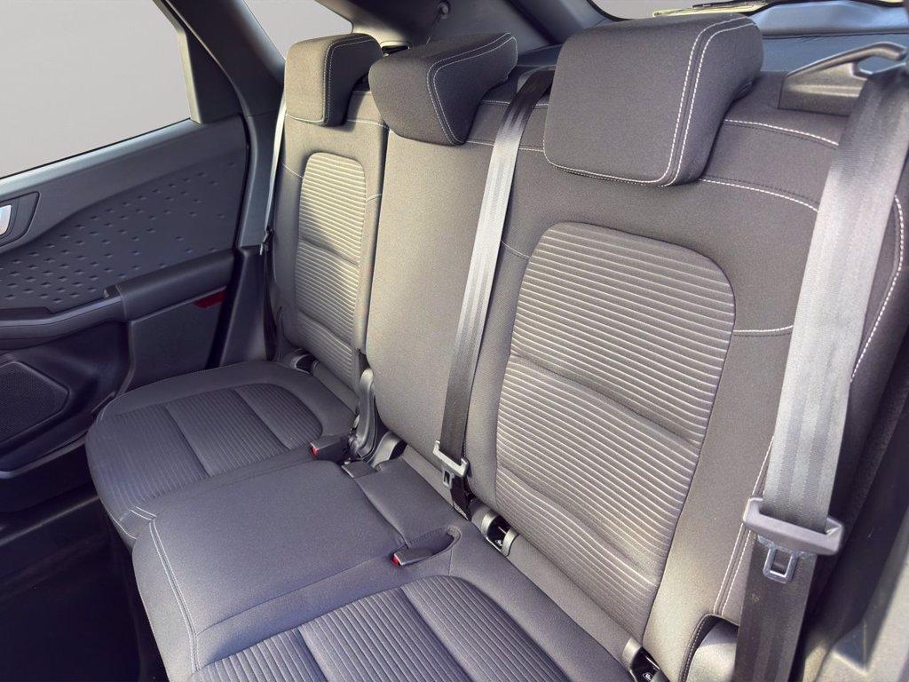 FORD Kuga 2.0 ecoblue mhev Titanium 2wd 150cv del 2020