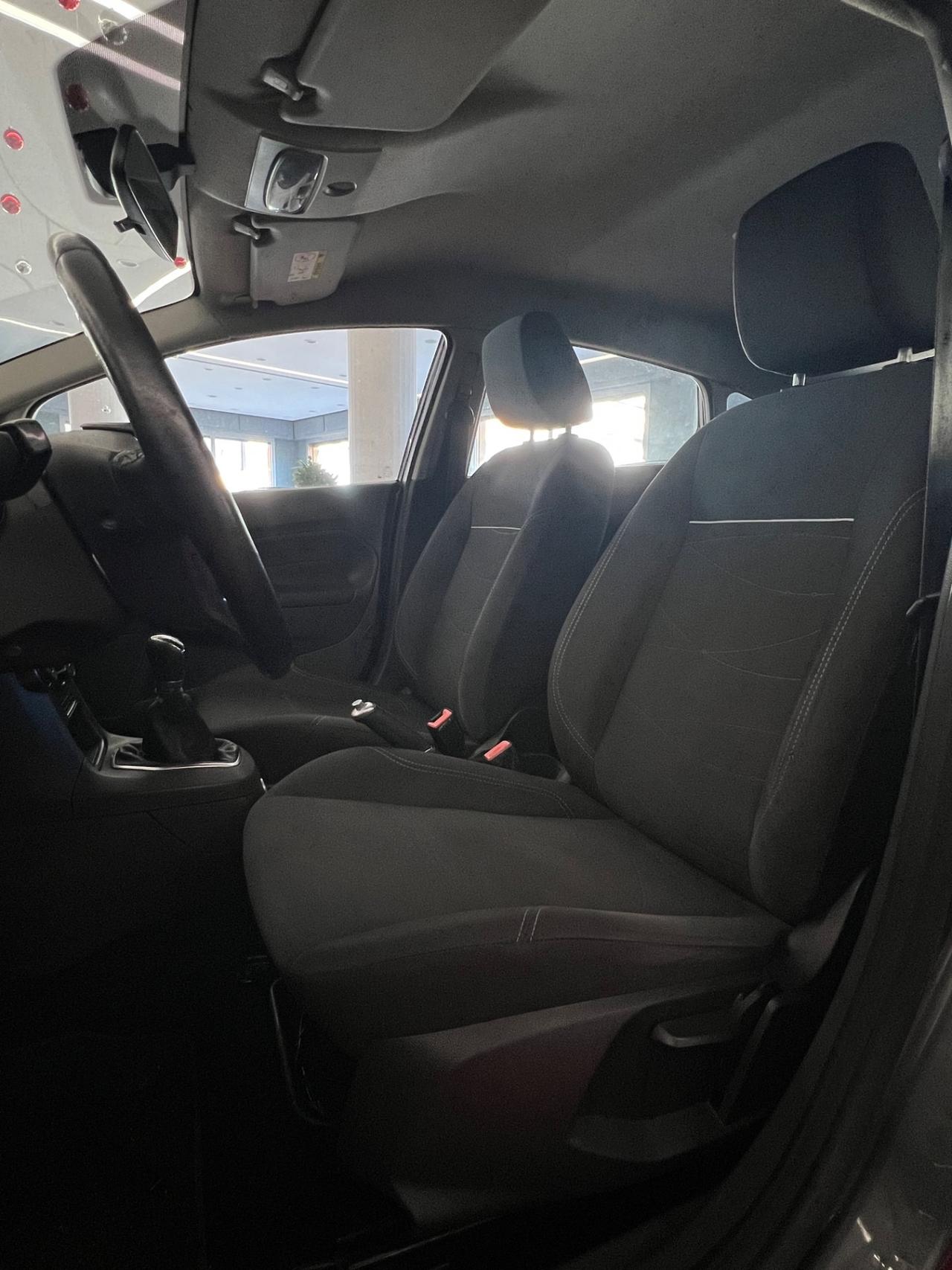 Ford Fiesta 1.4 5 porte Bz.- GPL Black & White Edition