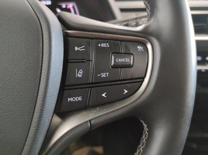 LEXUS UX - UX Hybrid Business