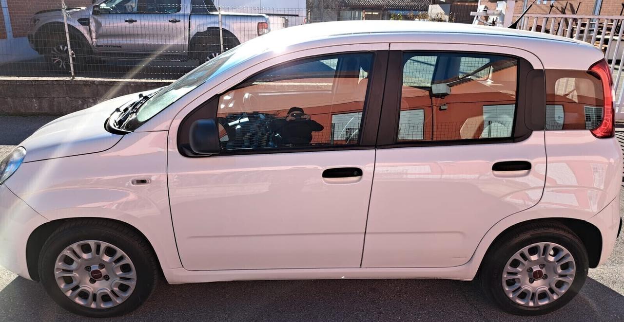FIAT PANDA HYBRID FIREFLY DEL 2022 CON 85525 KM