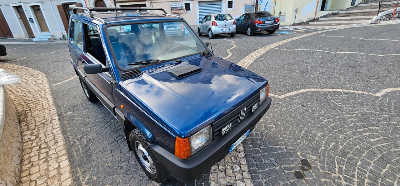 Fiat Panda 1100 i.e. cat 4x4 Trekking