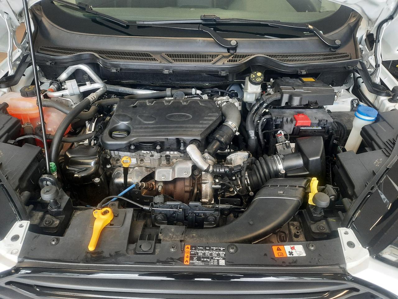 Ford EcoSport 1.5 Ecoblue 95 CV Start&Stop ST-Line