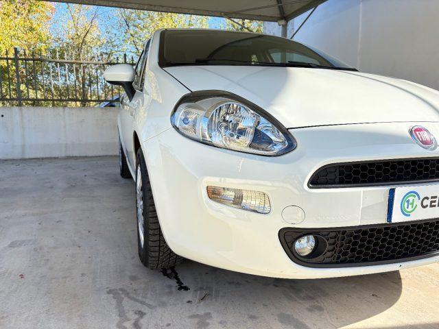 FIAT Punto 1.2 8V 5 porte Lounge EURO 6 TENUTA BENE