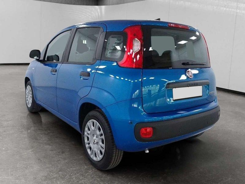 FIAT Pandina 1.0 firefly hybrid Icon s&s 70cv 5p.ti