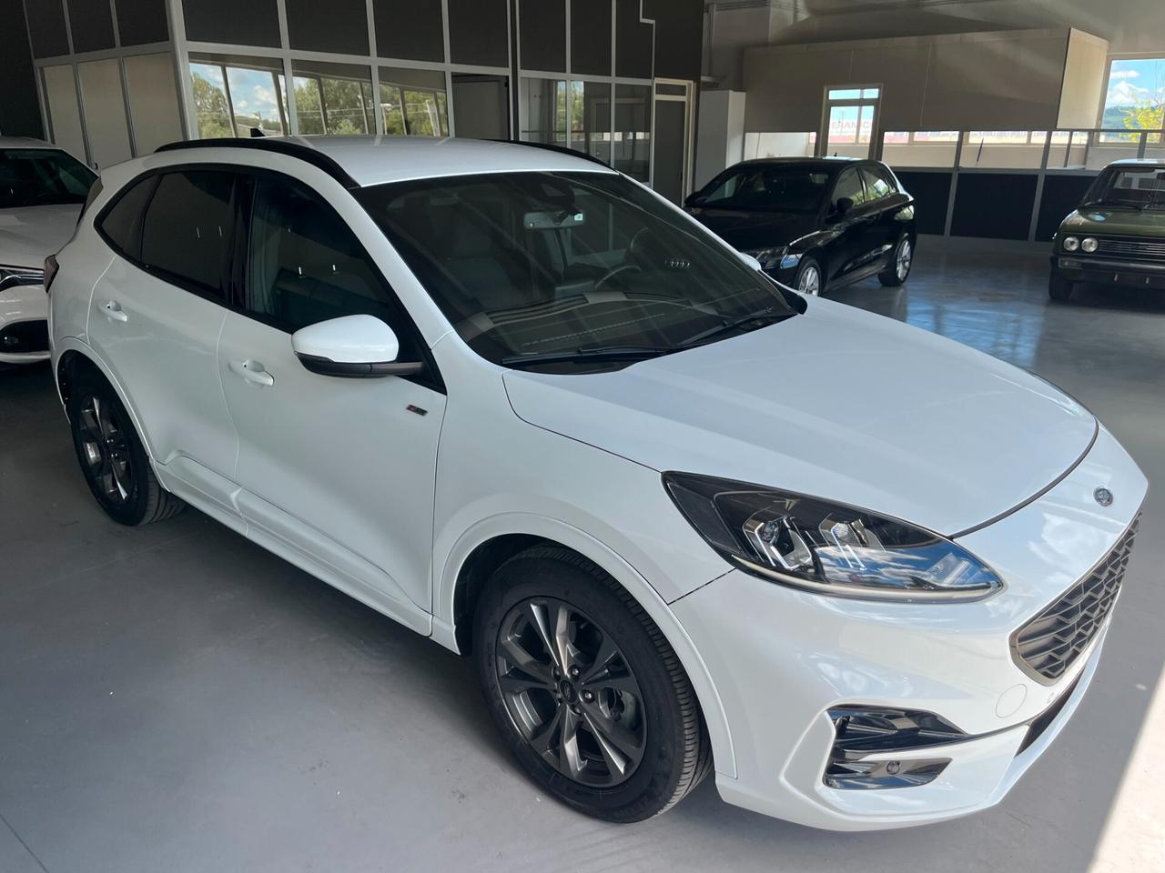 Ford Kuga 2.0 EcoBlue 120 CV aut. 2WD ST-Line 57820 KM!!!