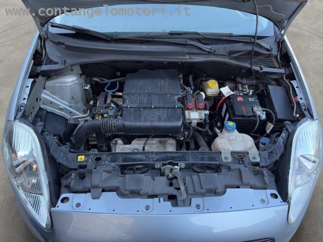 FIAT Punto 1.2 3 porte Active