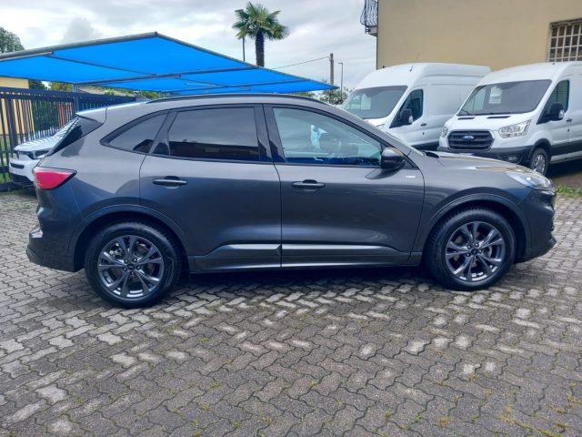 FORD Kuga 2.0 EcoBlue 120 CV aut. 2WD ST-Line