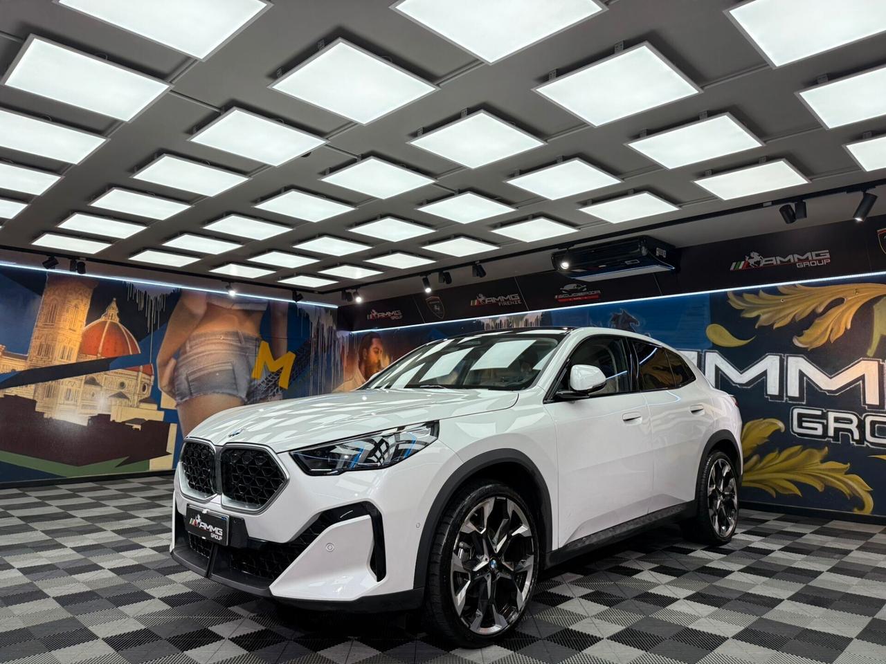 Bmw X2 xDrive 20d MSport (192)