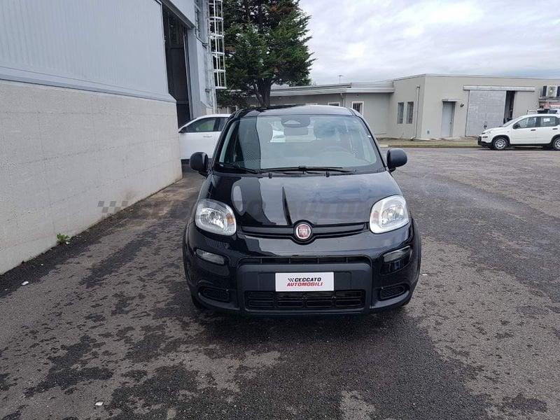 FIAT Panda Panda 1.0 70cv Hybrid Panda