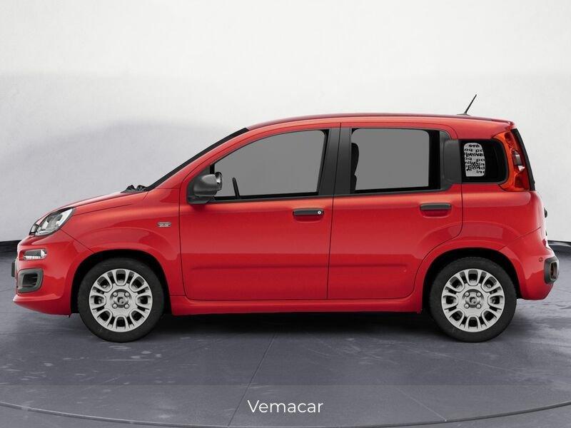 FIAT Pandina 1.0 FireFly 65cv S&S 6m Hybrid Icon-PRONTA CONSEGNA!