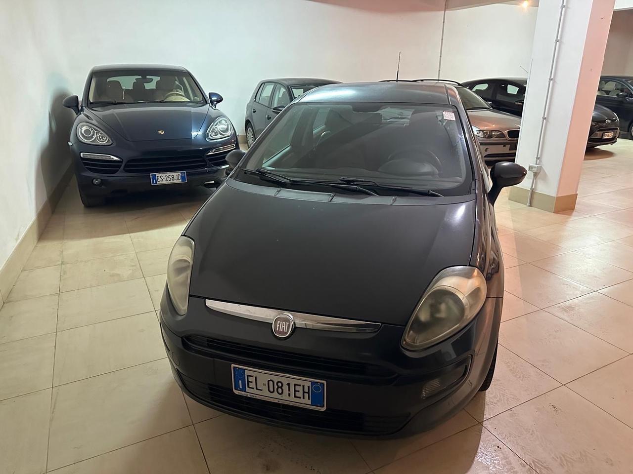 Fiat Punto Evo Punto Evo 1.3 Mjt 95 CV DPF 5 porte S&S Emotion