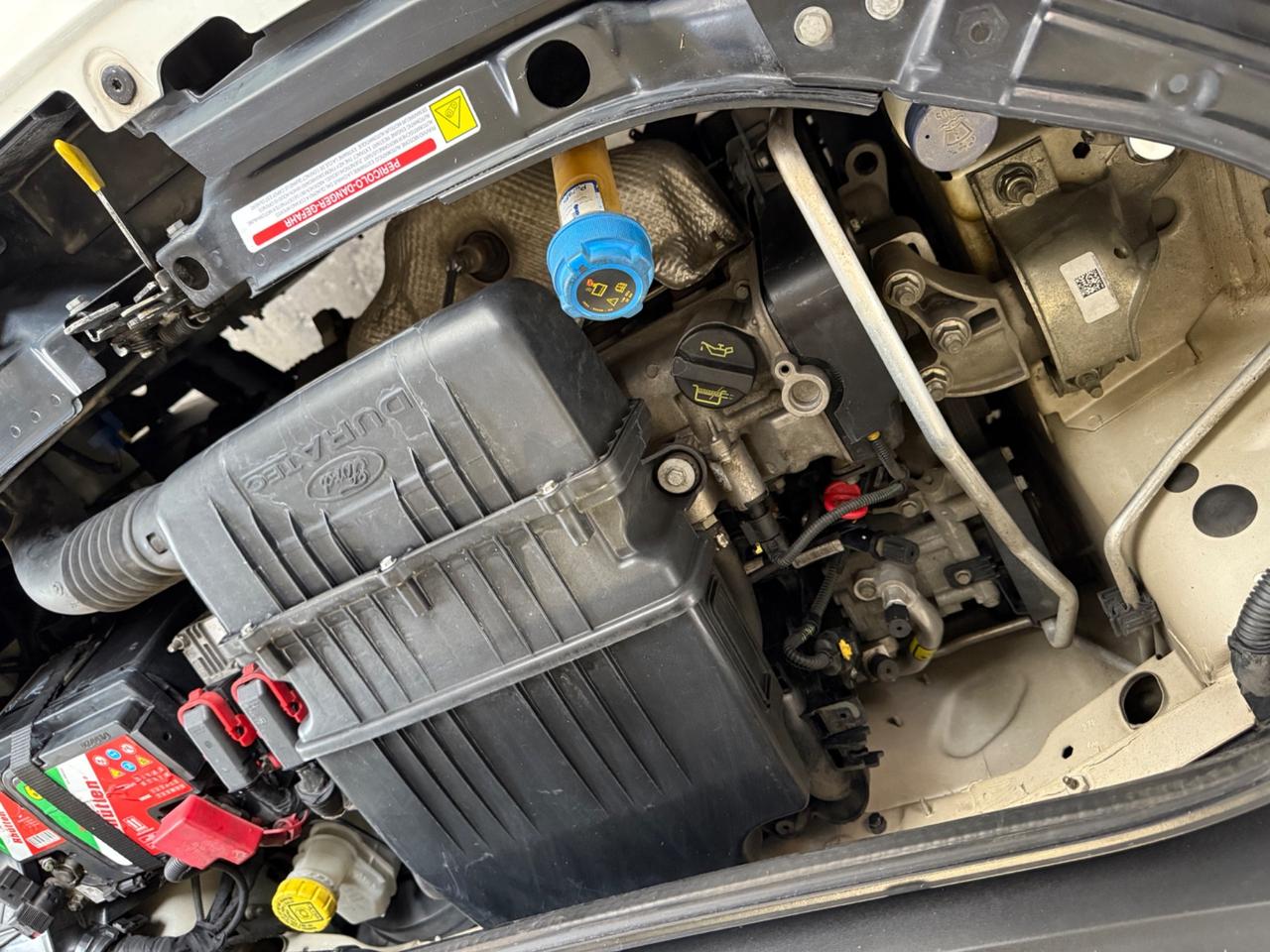 Ford Ka Ka+ 1.2 8V 69CV Titanium CINGHIA NUOVA