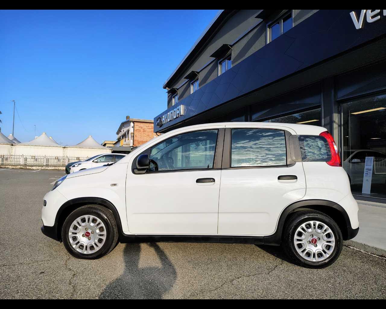 FIAT Panda III 2021 - Panda 1.0 firefly hybrid s&s 70cv