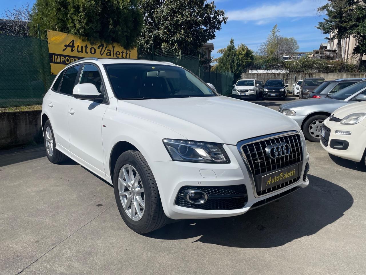 Audi Q5 2.0 TDI 170 CV quattro S tronic S-Line