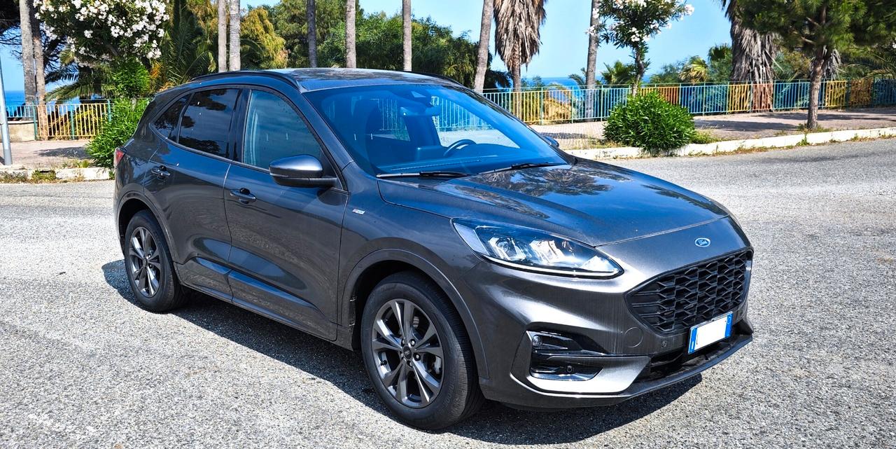 Ford Kuga 2.0 EcoBlue 120 CV aut. 2WD ST-Line