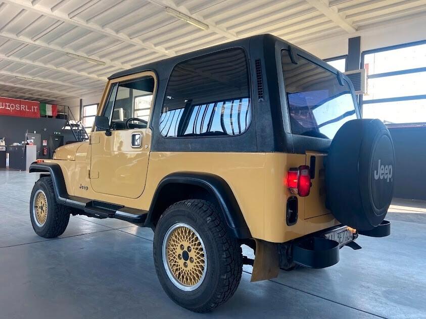 Jeep Wrangler YJ 4.2 BENZ/GPL HARD TOP