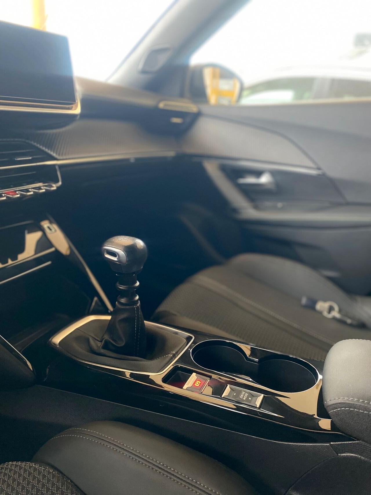Peugeot 2008 BlueHDi 110 S&S GT