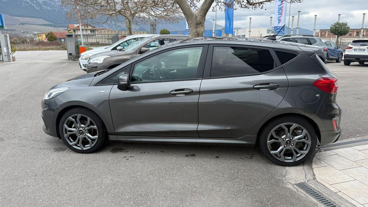 Ford Fiesta 1.5 EcoBlue 5 porte ST-Line