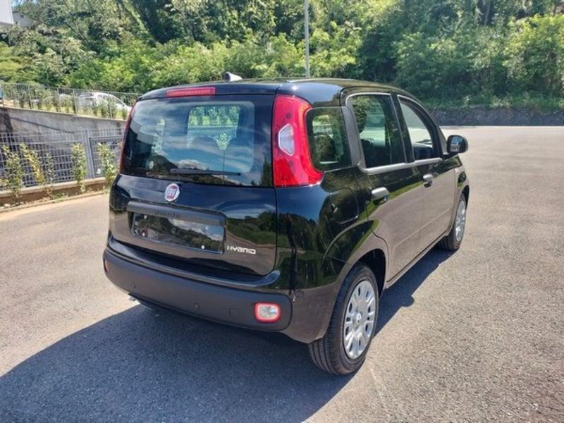 FIAT Pandina 1.0 FireFly 65cv S&S 6m Hybrid Icon