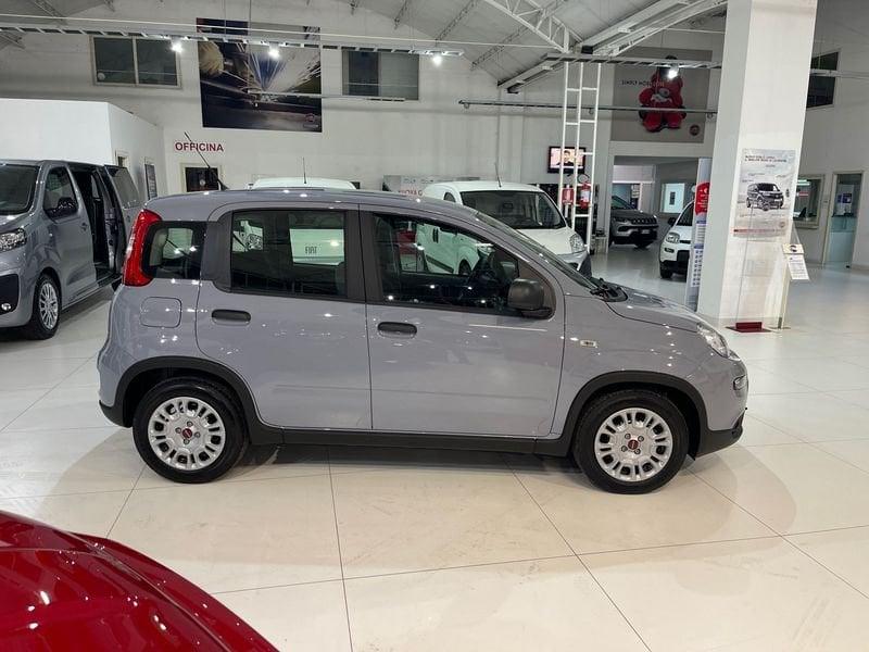 FIAT Panda PANDA HYBRID 1.0 70 CV