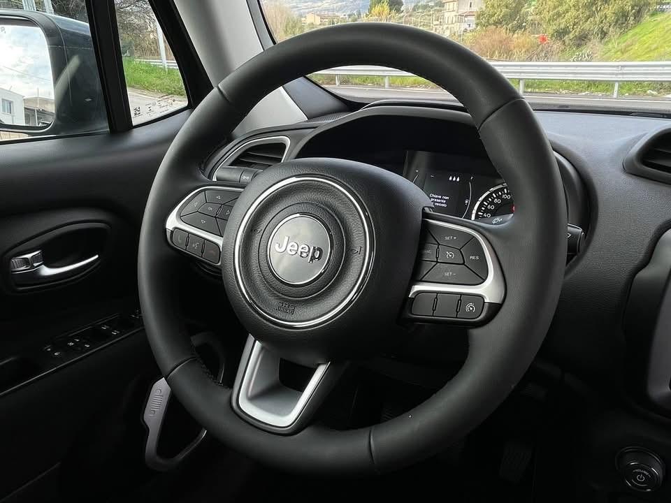 Jeep Renegade 1.6 Mjt 120 CV Longitude