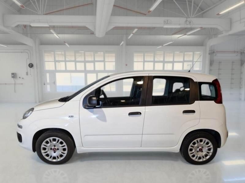 FIAT PANDA 1200 CC 69 CV EASY