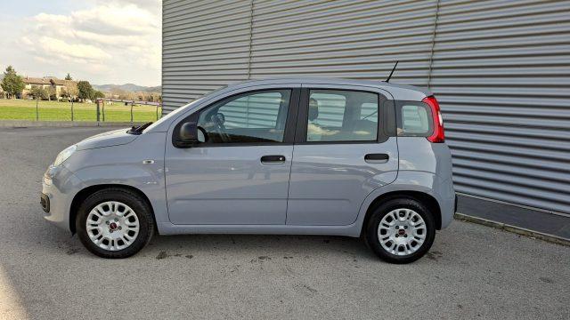 FIAT Panda 1.0 FireFly Hybrid City Life LEGGE 104 IVA ESPOSTA