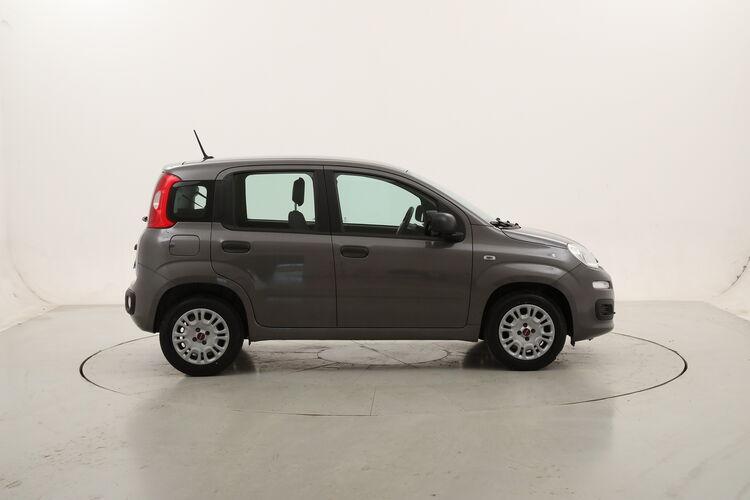 Fiat Panda Easy BZ592097 1.2 Benzina 69CV