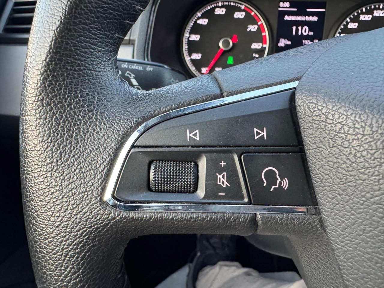 Seat Ibiza 1.0 TGI 90Cv 5 porte Style