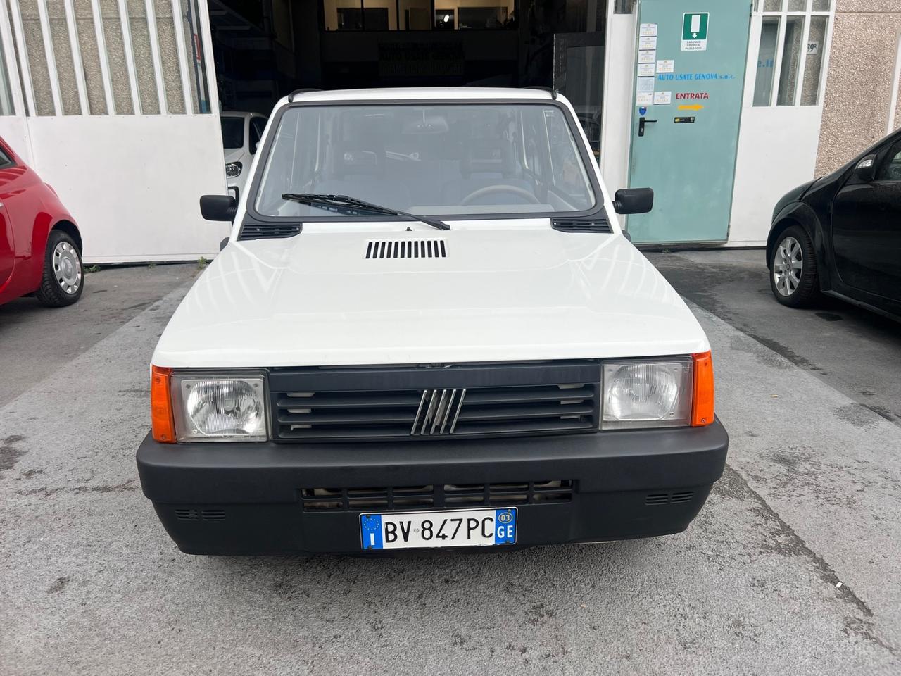 Fiat Panda 1100 i.e. cat Young