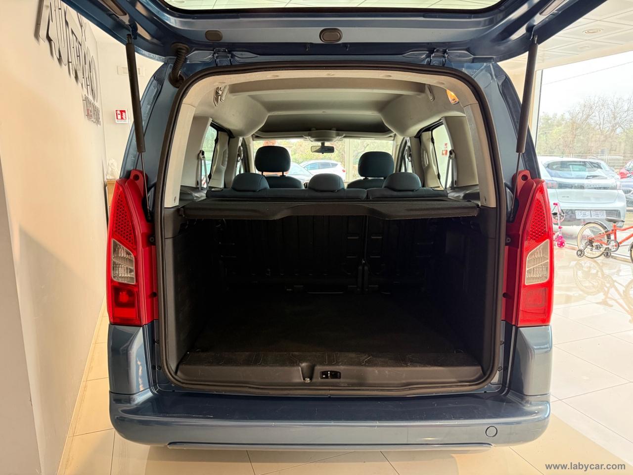 CITROEN Berlingo 1.6 HDi 110 Multispace